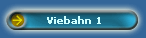 Viebahn 1